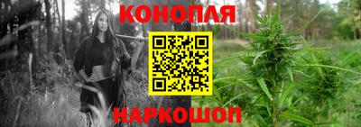 гидра Нальчик