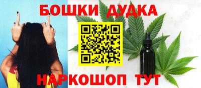 гидра Нальчик
